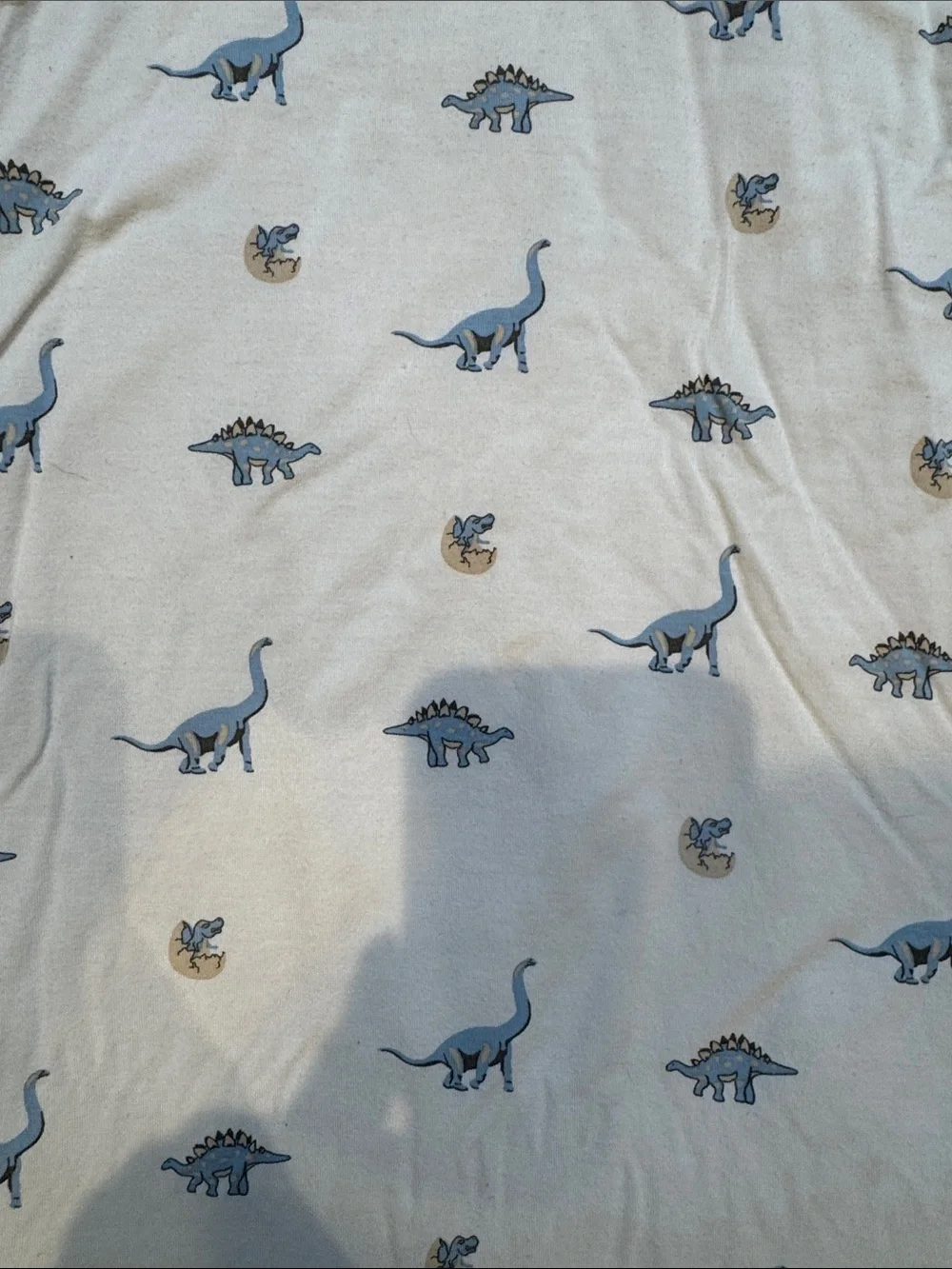 Sleeveless Baby Sleep Sack with Blue Dinosaur Print